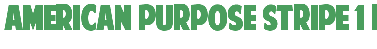 American Purpose STRIPE 1 Regular[1]